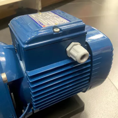 Pedrollo MAGNIFICA 2m центробежный насос 43MA021A1